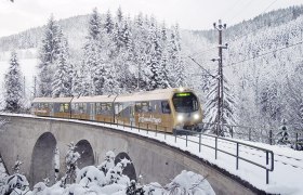 Die Himmelstreppe am Gösinggrabenviadukt, © NB-Heussler