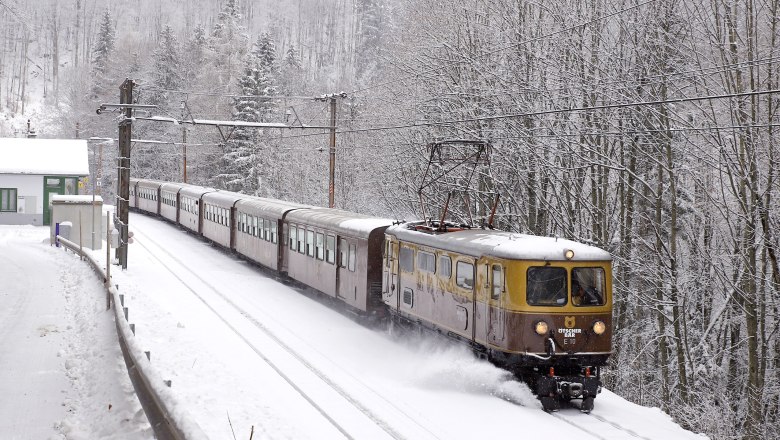 Ötscherbär im Schnee, © NB/ Gozdal